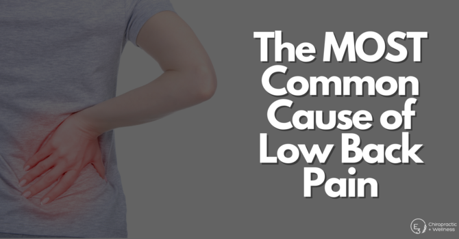 The Most Common Cause of Low Back Pain  image