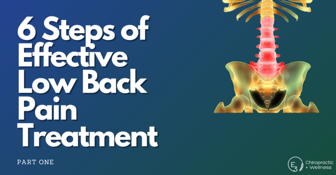 The 6 Steps of Effective Low Back Pain Treatment: Part One  image