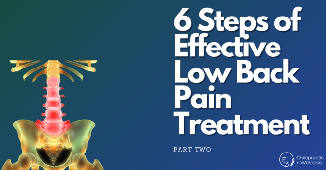 The 6 Steps of Effective Low Back Pain Treatment: Part Two image