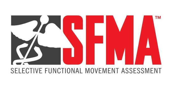 Selective Functional Movement Assessment 