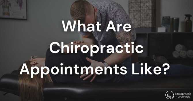 What Are Chiropractic Appointments Like? 