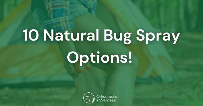 10 Natural Bug Spray Options  image