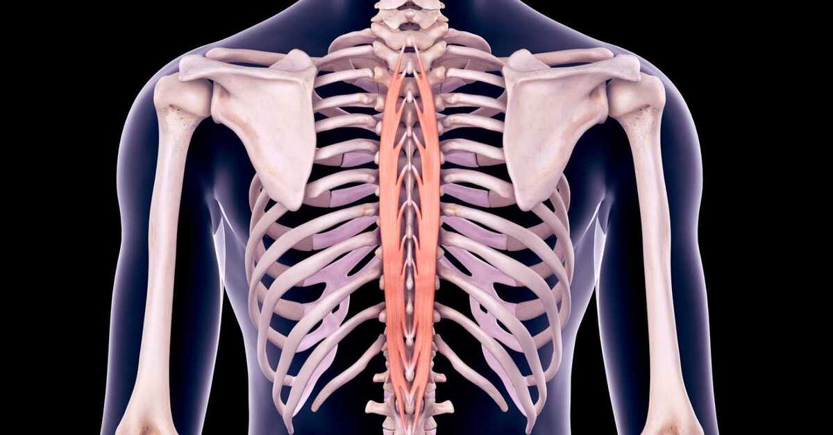 Finding Relief for Mid-Back Pain | E3 Chiropractic + Wellness
