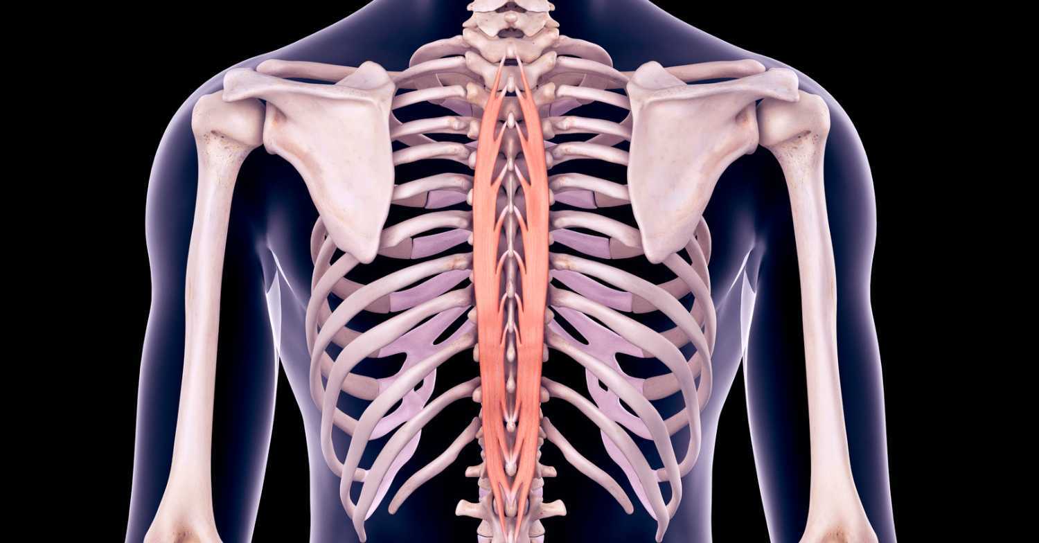 E3 Chiropractic + Wellness Mid-Back Pain