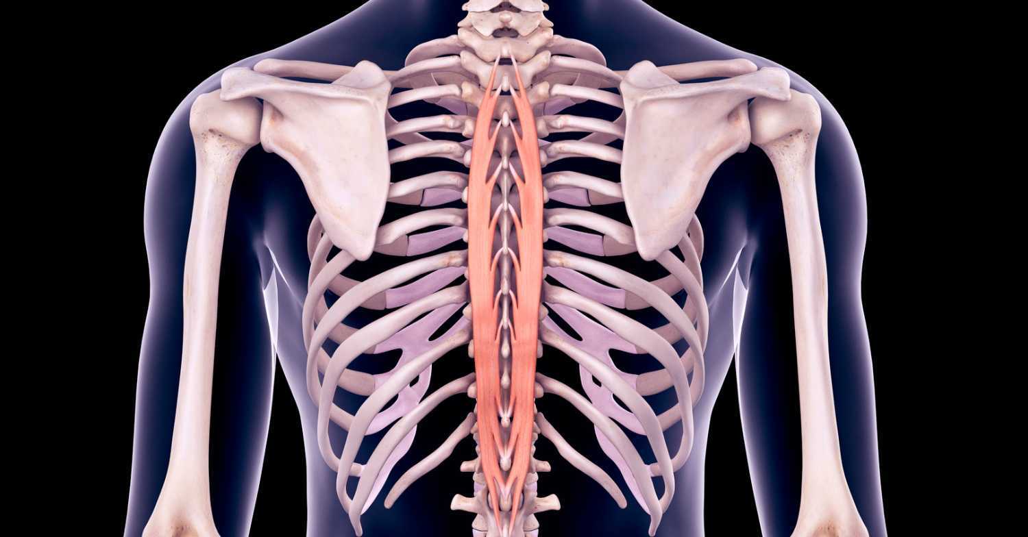 Middle Back Pain & Chiropractic