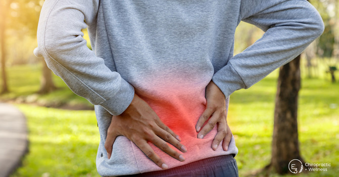 Understanding the Four Most Common Causes of Low Back Pain image